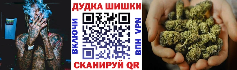 Марихуана индика  где можно купить наркотик  hydra ссылки  Нижневартовск 